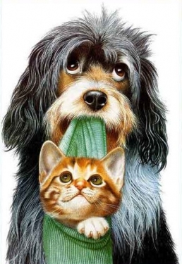 HOMEOPATIA PARA SEU PET