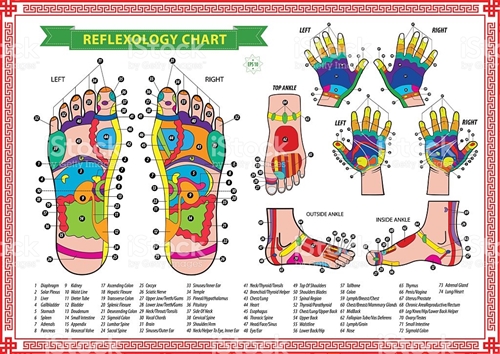 REFLEXOLOGIA (PÉS E MÃOS)