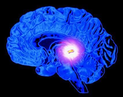 ATIVAÇÃO MEDULA PINEAL